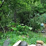 Yakusha - якуша, Semesterbostad Shiroka Lŭka