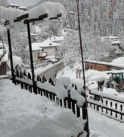 Yakusha - якуша, Shiroka Luka (Smolyan)