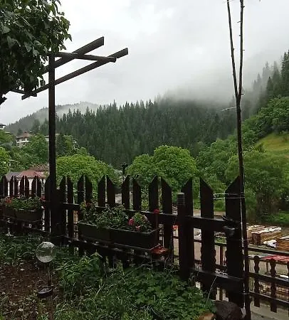 Hébergement de vacances Yakusha - якуша, *