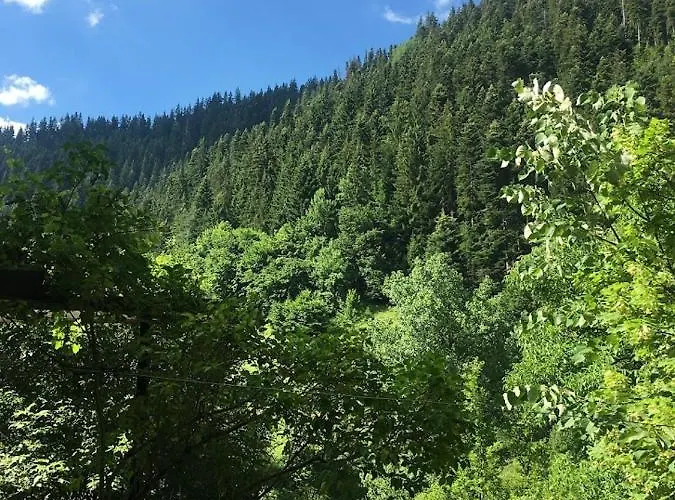 Yakusha - якуша, * Shiroka Lŭka