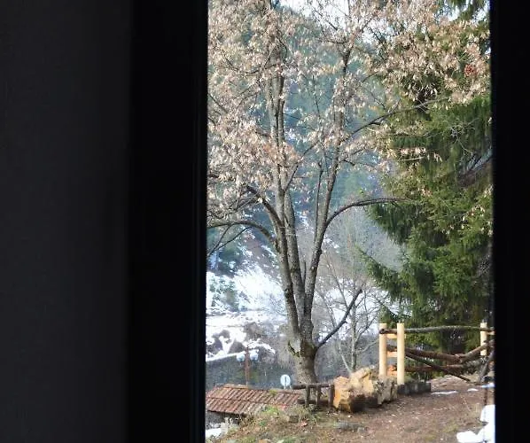 別荘 Yakusha - якуша, *