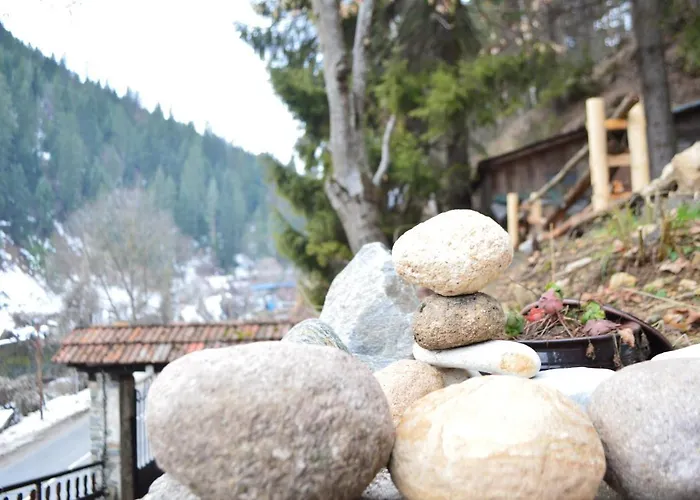 Yakusha - якуша, Сasa de vacaciones