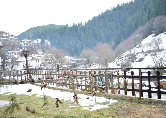 Yakusha - якуша, * Shiroka Lŭka