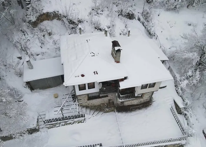 別荘 Yakusha - якуша,