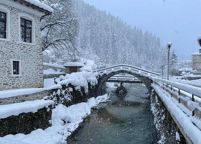 Yakusha - якуша, * Shiroka Lŭka