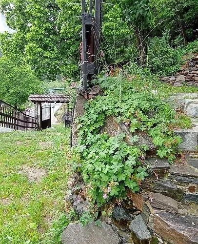 Сasa de vacaciones Yakusha - якуша, Shiroka Lŭka