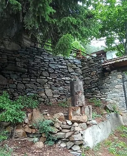 Yakusha - якуша, Сasa de vacaciones