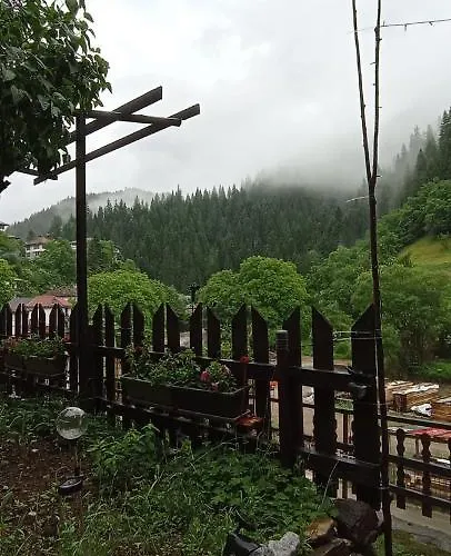 別荘 Yakusha - якуша, *